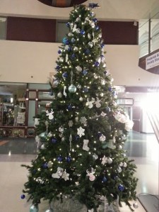 sunnybrook Christmas