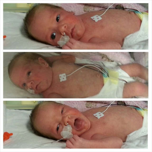 PhotoGrid_1392169571623.jpg image