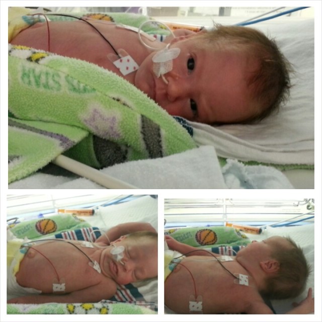 PhotoGrid_1392169636326.jpg image